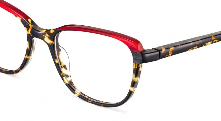 Etnia Barcelona NOTRE DAME P. Eyeglasses - view 32